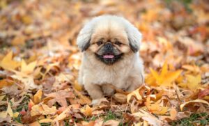 ヴェルニでの復縁に関する口コミはどのようなものがあるのか？