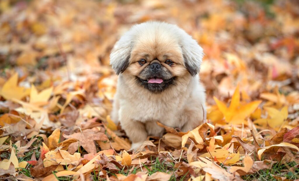 復縁を考えるあなたが知っておくべき諦め時と占いの活用法は？