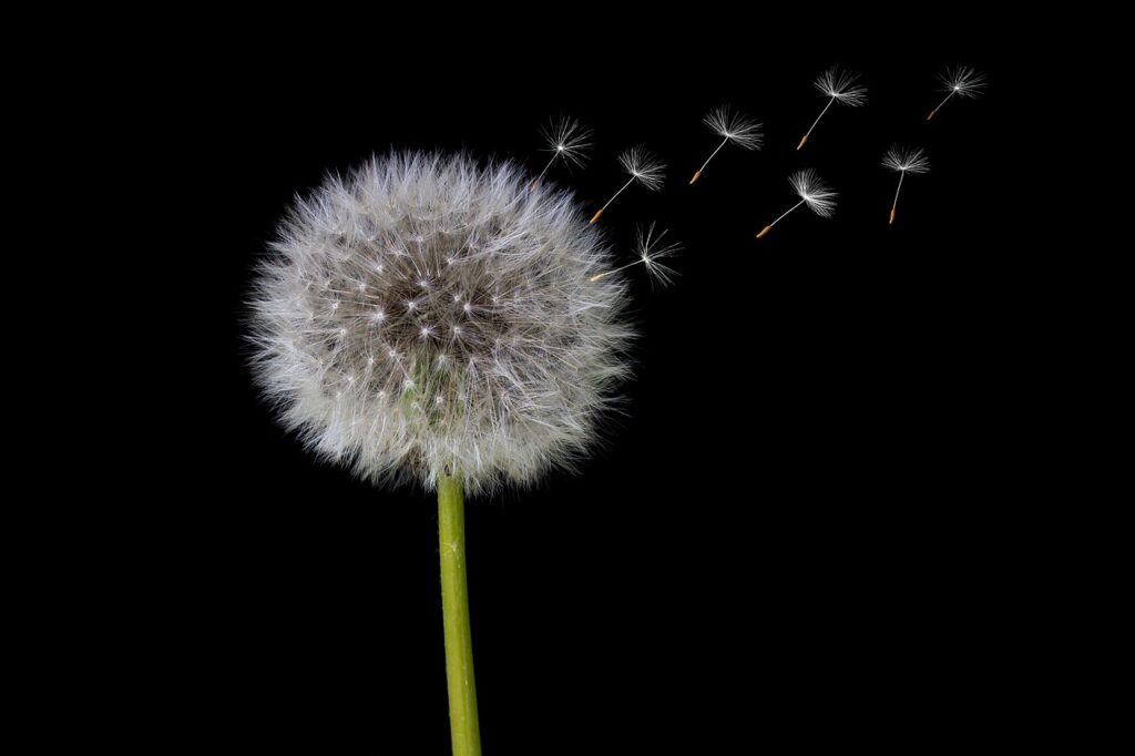 復縁に強い占い師の見分け方は？